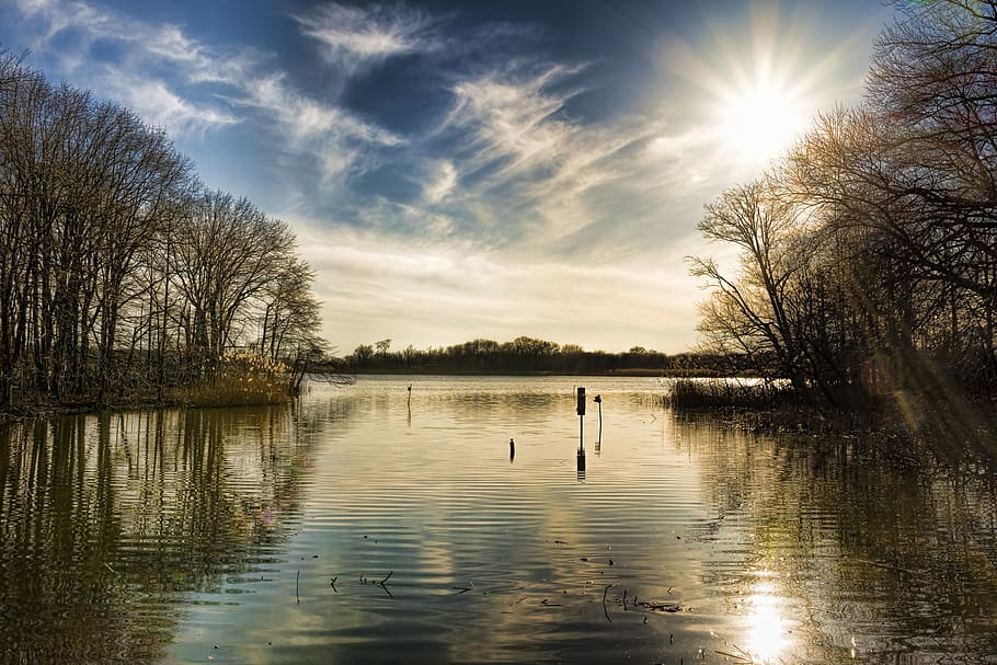 reflection, nature, water, tree, lake, heinz wildlife refuge HD wallpaper
