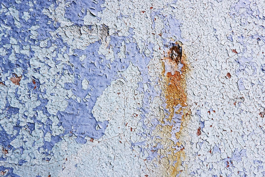 rust, stain, texture, wall, rug, invertebrate, animal, honey bee HD wallpaper
