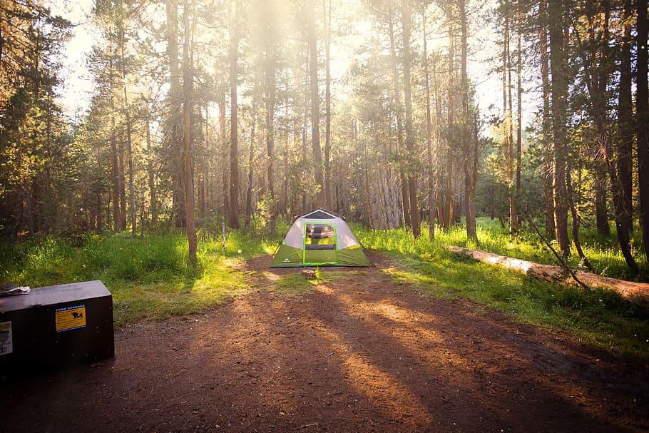 Camping Doodle Stock Photos Images and Backgrounds for Free Download