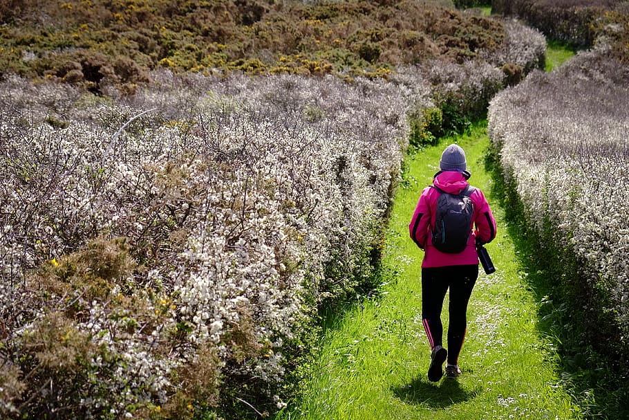 Walking spring