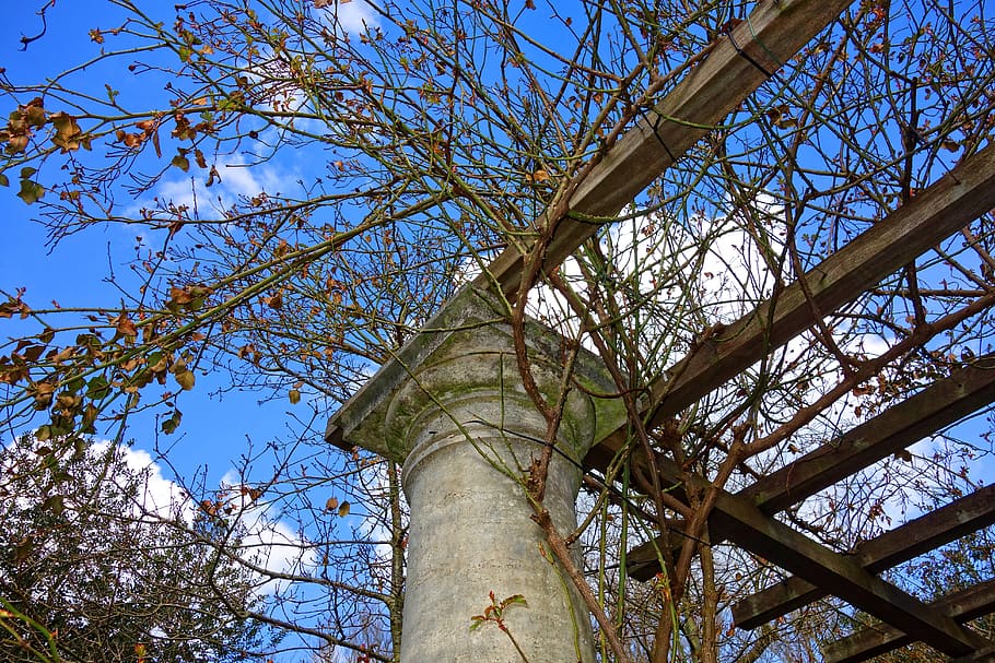 pergola, pillar, framework, creeper, vine, climber, rose, design HD wallpaper