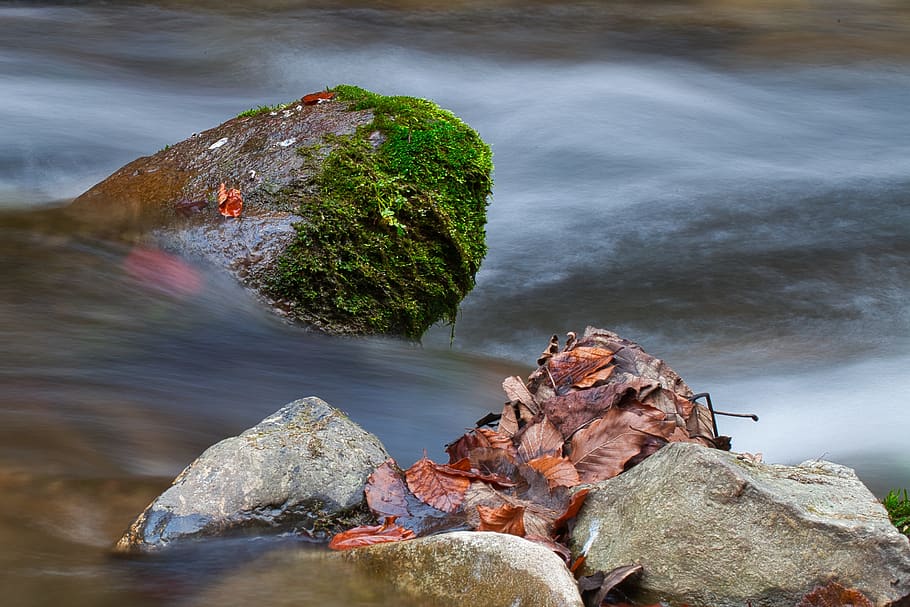water, stone, bach, long exposure, autumn, stone in the water HD wallpaper