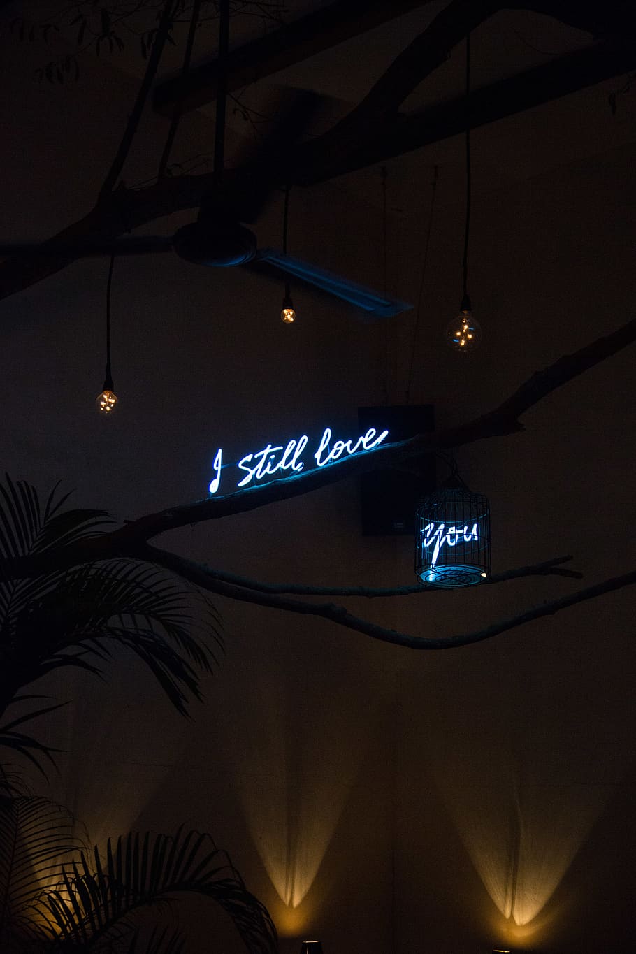 light, neon, lighting, text, flare, alphabet, light fixture HD wallpaper