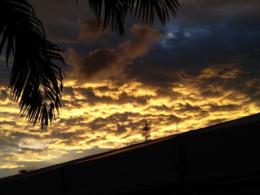 brazil, paraty, sky, cloud - sky, sunset, silhouette, palm tree HD wallpaper