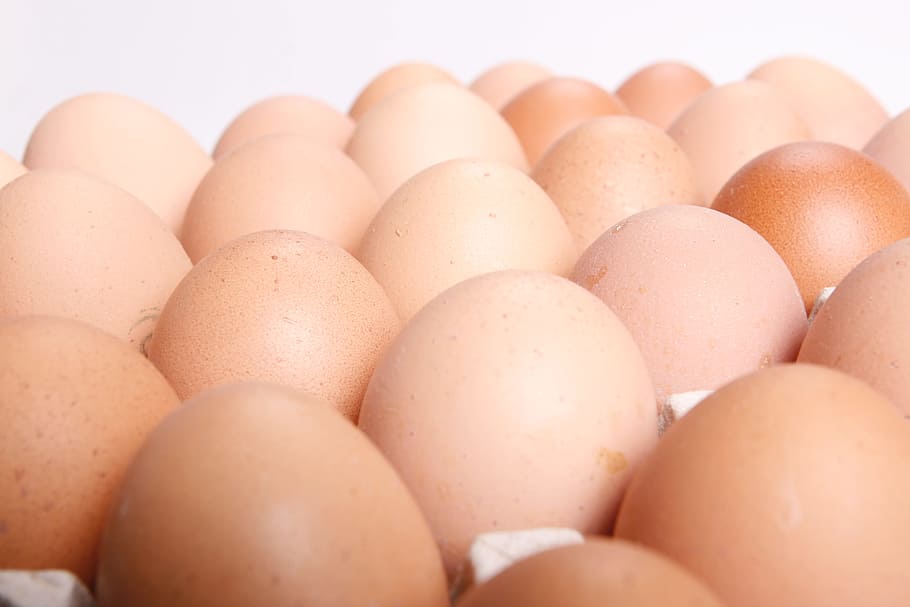 chicken, chicks, cholesterol, close-up, concepts, dairy, easter HD wallpaper