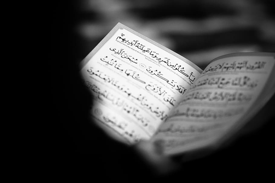 White Printed Text Book Page, document, horizontal, malay, scripture HD wallpaper