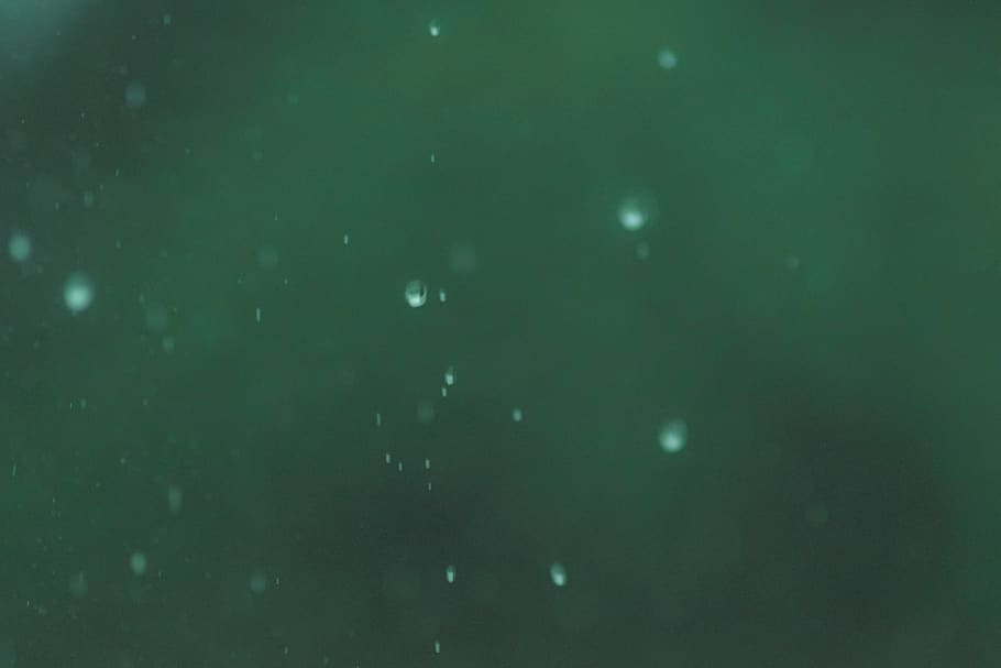 rain, drop, urban, street, city, trees, forest, life, sony HD wallpaper