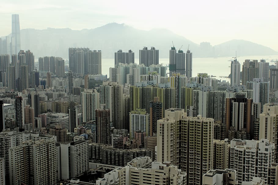 city during day, hong kong, skyline, building exterior, built structure HD wallpaper