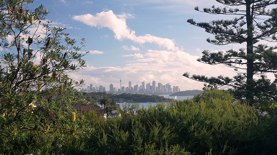 australia, sydney, plant, tree, sky, cloud - sky, architecture HD wallpaper