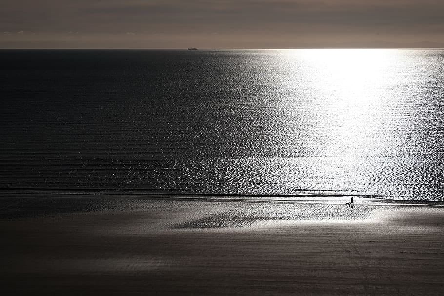 united kingdom, swansea, beach, sundown, man, dog, water, horizon over water, HD wallpaper