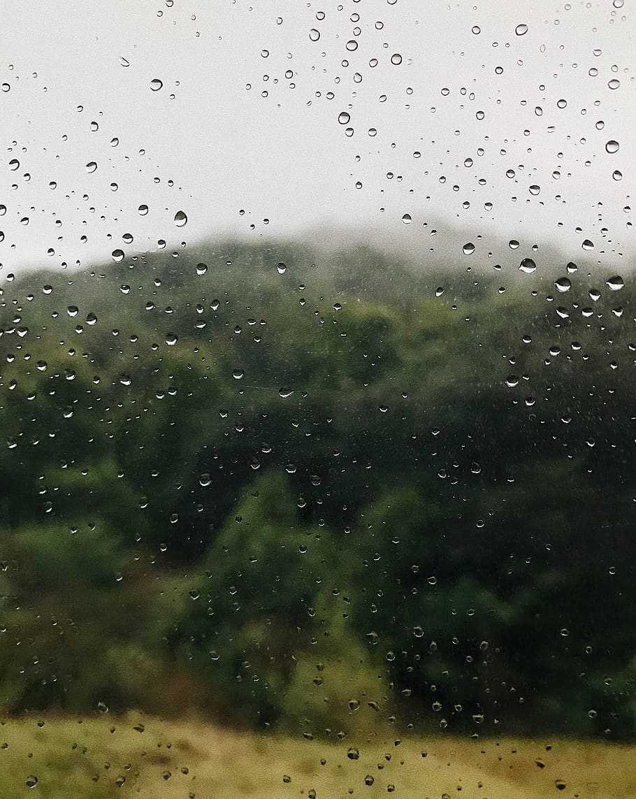 drop, water, wet, rain, glass - material, window, transparent HD wallpaper