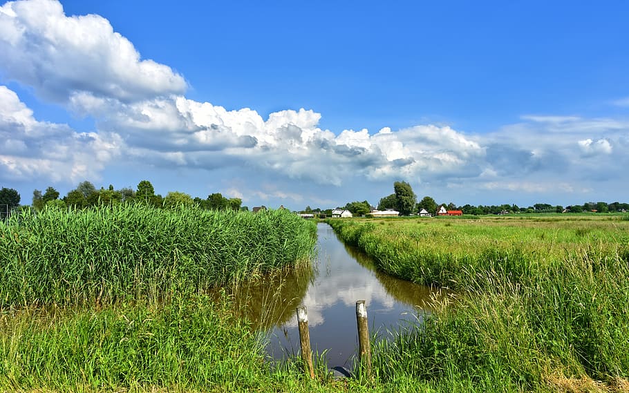 dutch landscape, scenic, holland, polder, waterway, field, rushes, HD wallpaper