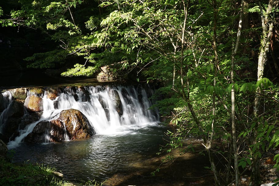 waterfall, forest, japan, landscape, nature, river, cascade HD wallpaper