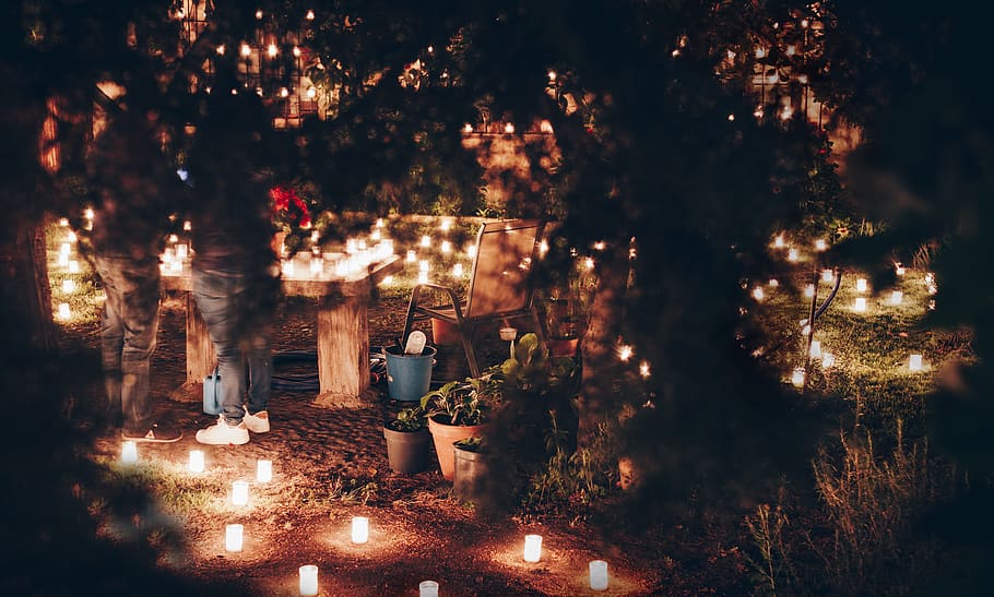 spain, pedraza, forest, grass, trees, candlelight, lights, night HD wallpaper