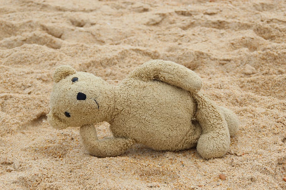 teddy, bear, beach, sea, rest, relax, sun, camouflage paint HD wallpaper