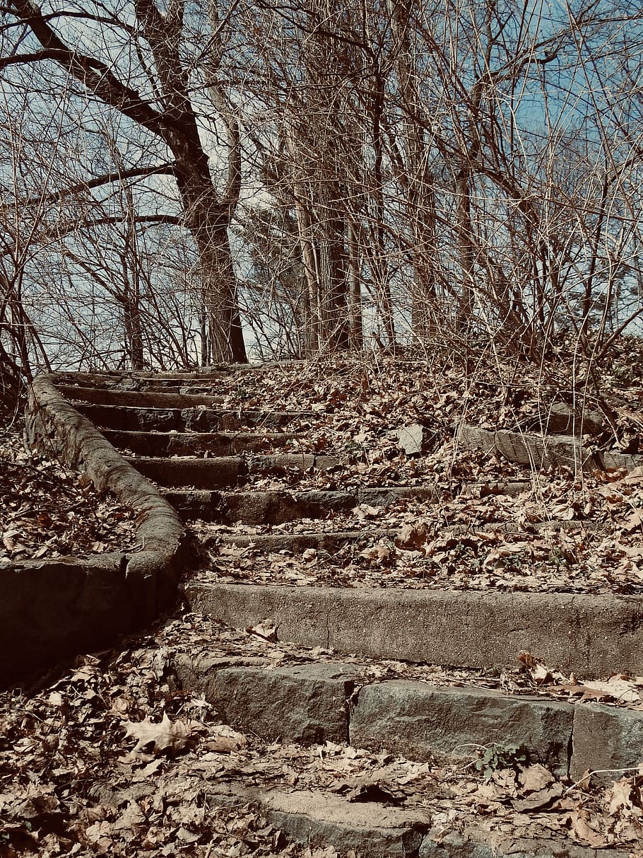 ground, slate, outdoors, path, palisades interstate pkwy, alpine HD wallpaper