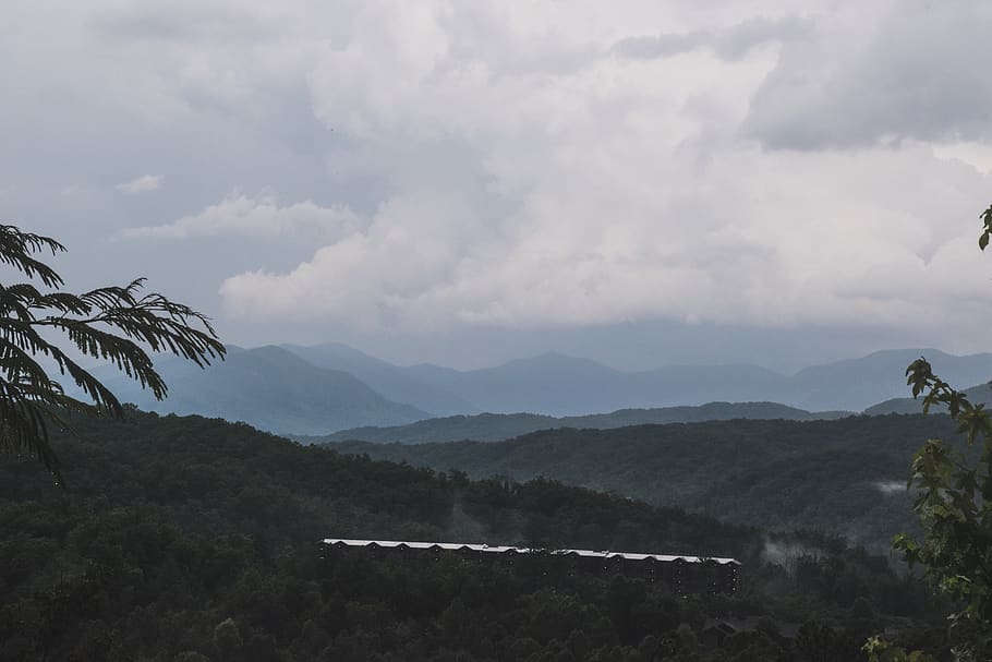 united states, gatlinburg, forest, fog, clouds, cabin, mountains, HD wallpaper