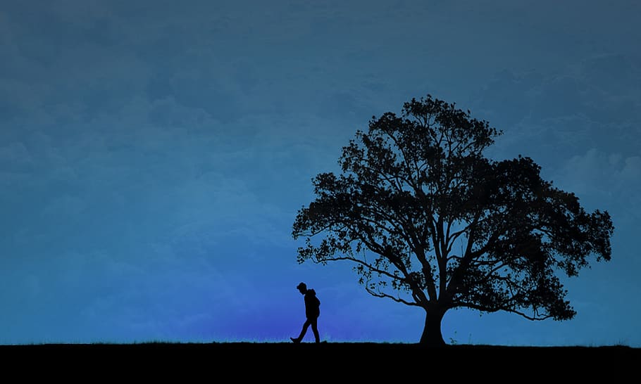 silhouette, blue, the tree, sky, plant, one person, field, nature HD wallpaper