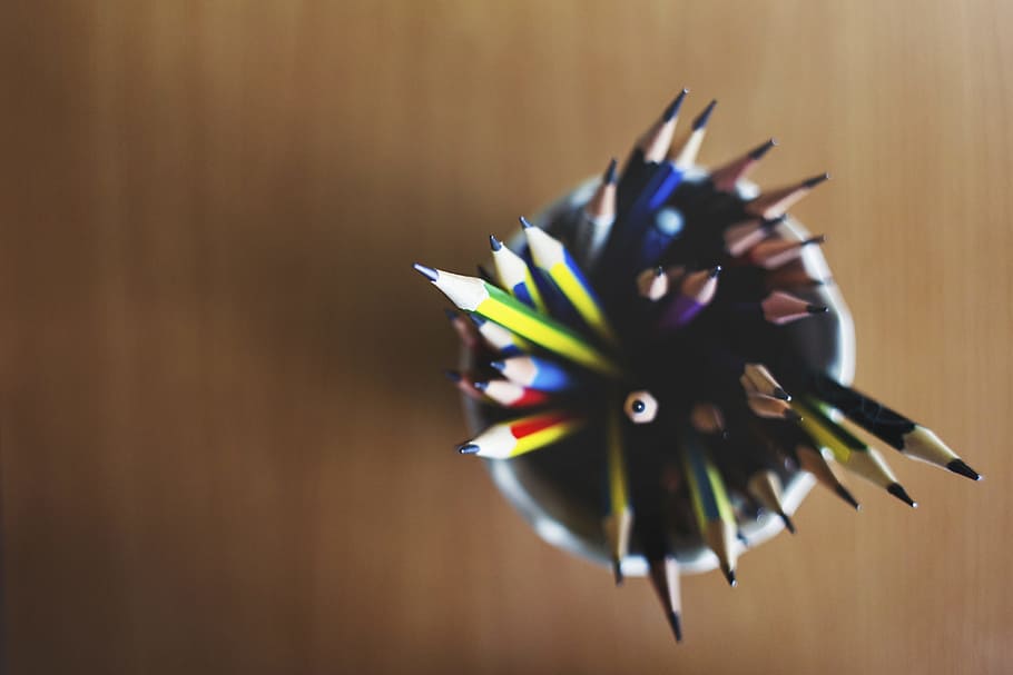 Photo of Pencils in White Organizer, abstract, art, blur, container HD wallpaper