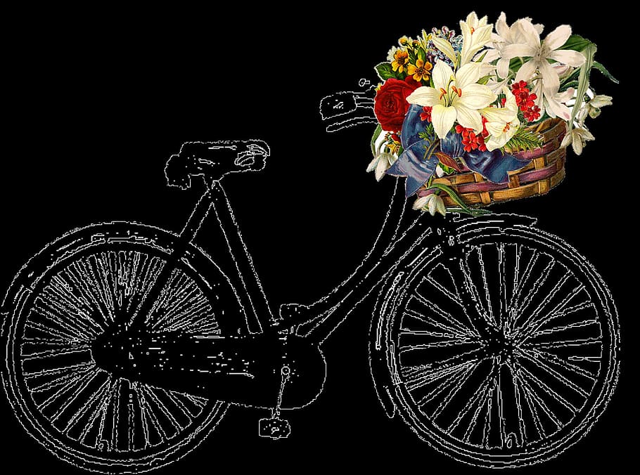 flower, cycle, metal, rust, graphics, flowering plant, land vehicle HD wallpaper
