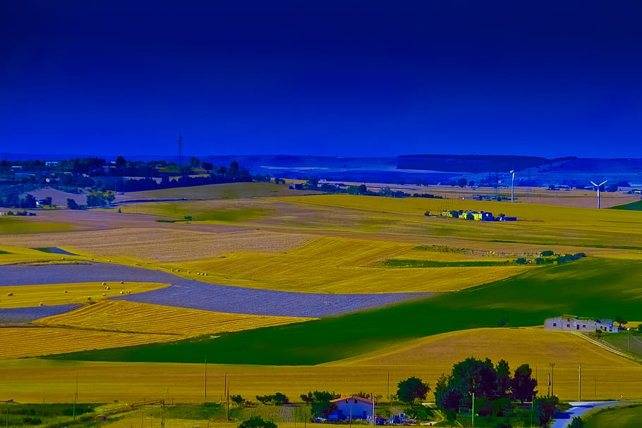 summer, colors, sharpness, meadows, field, landscape, rural HD wallpaper