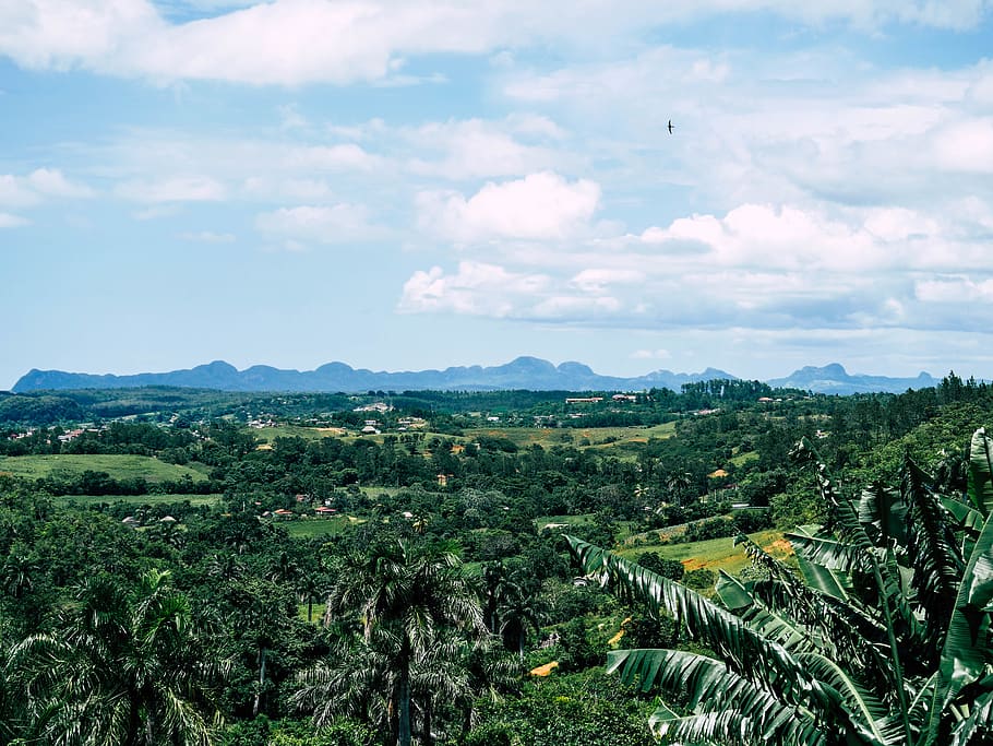 cuba, vinales, plant, beauty in nature, sky, cloud - sky, scenics - nature HD wallpaper