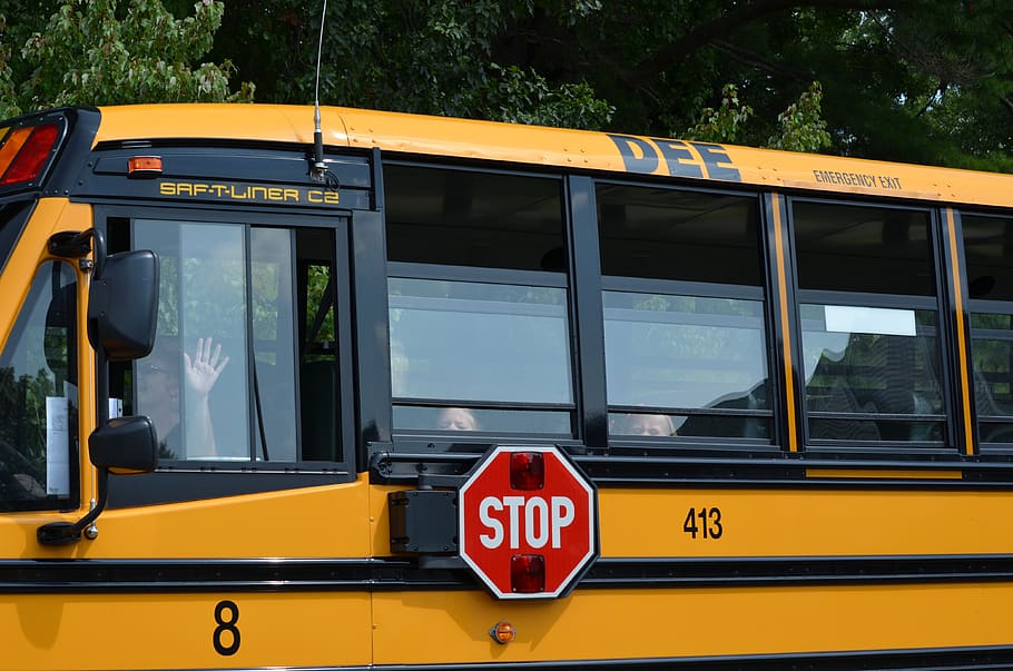 bus, wave, school, stop, communication, text, western script HD wallpaper