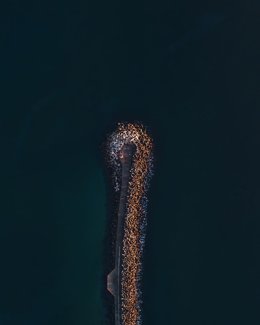 copy space, no people, nature, night, outdoors, one animal HD wallpaper