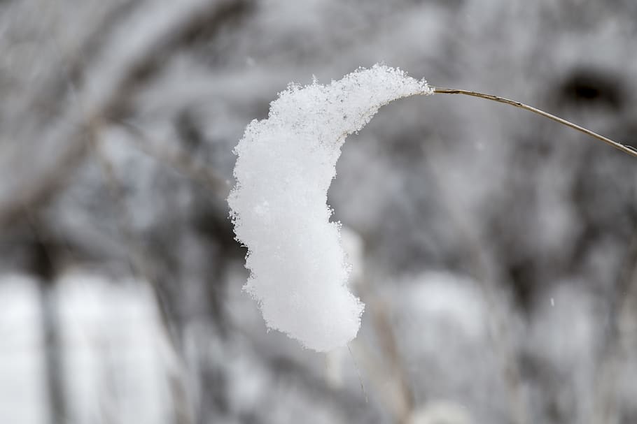canada, uxbridge, winter, snow, cold temperature, white color HD wallpaper