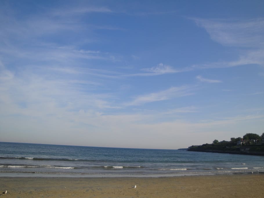 ocean, beach, summer, sky, sea, water, land, beauty in nature HD wallpaper