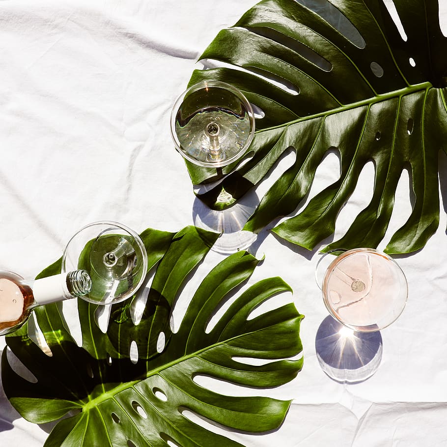 leaf, plant, glass, goblet, pottery, apparel, helmet, clothing HD wallpaper
