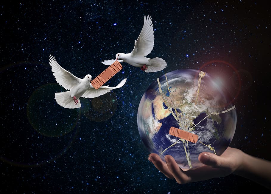 harmony, world peace, dove, hope, forward, connectedness, love, HD wallpaper