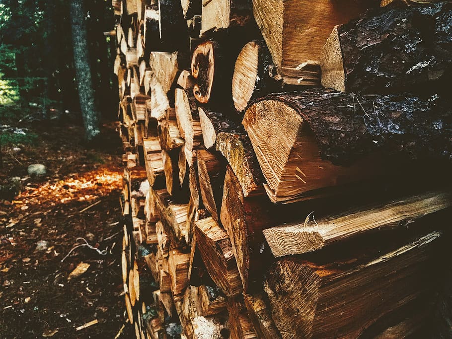 brown wood logs, forest, timber, wood - material, tree, lumber industry HD wallpaper