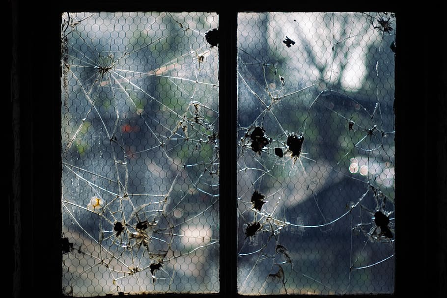 cracked glass window, spider web, fragility, glass - material HD wallpaper