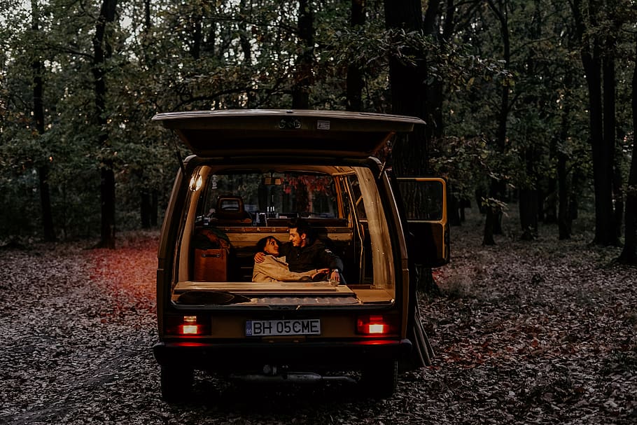 black van, tree, plant, mode of transportation, land vehicle HD wallpaper