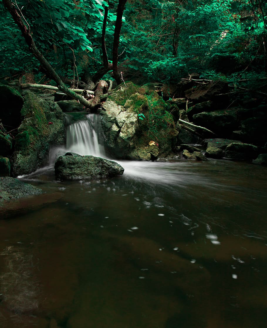 canada, limehouse, water, stream, river, trees, forest, black HD wallpaper
