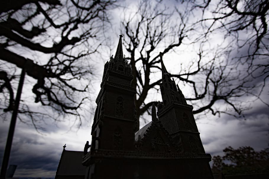 building, steeple, spire, architecture, tower, basel, tree HD wallpaper
