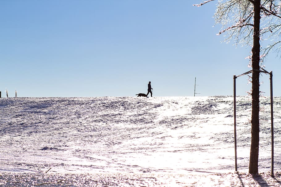 canada, quebec, sky, land, real people, snow, clear sky, nature HD wallpaper
