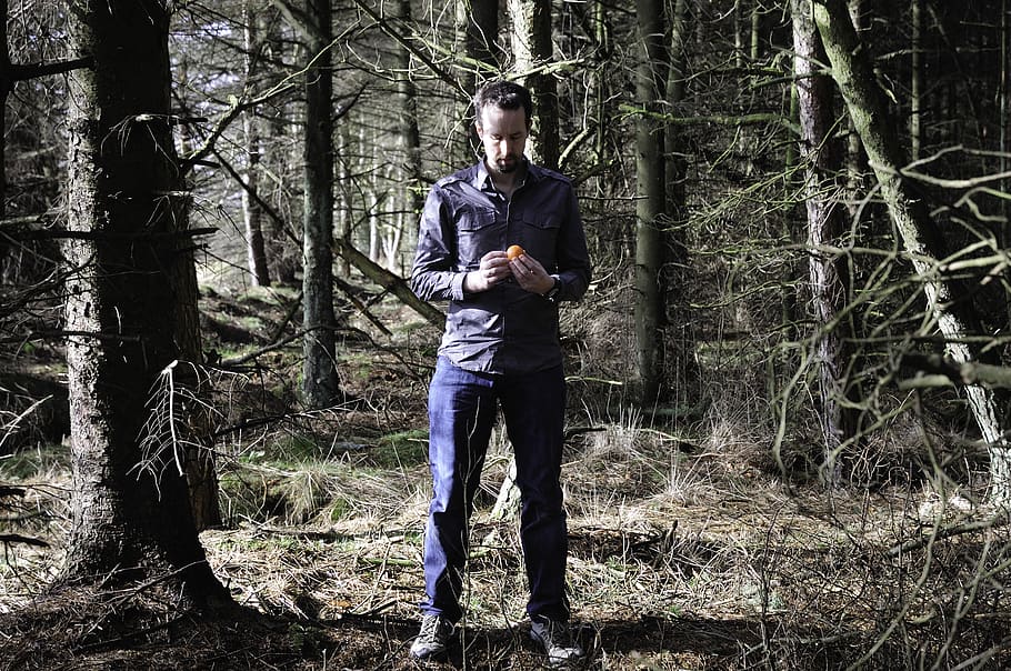 woddland, trees, forst, man, eating, orange, forest, plant HD wallpaper