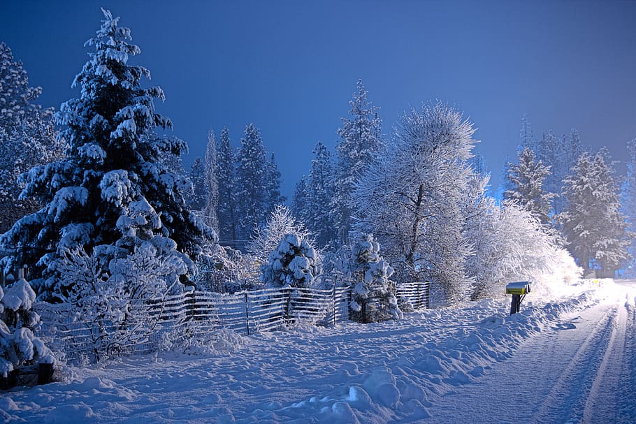 nature, mountains, night, skiing, trees, country, road, frozen HD wallpaper