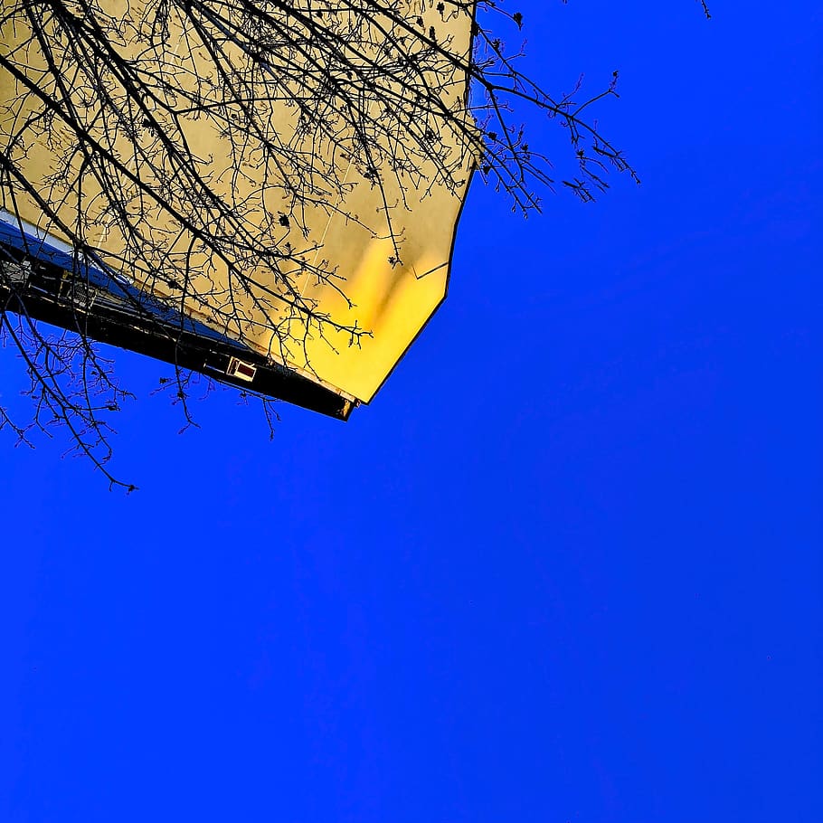 serbia, beograd, virtual, tree, sky, branch, low angle view HD wallpaper