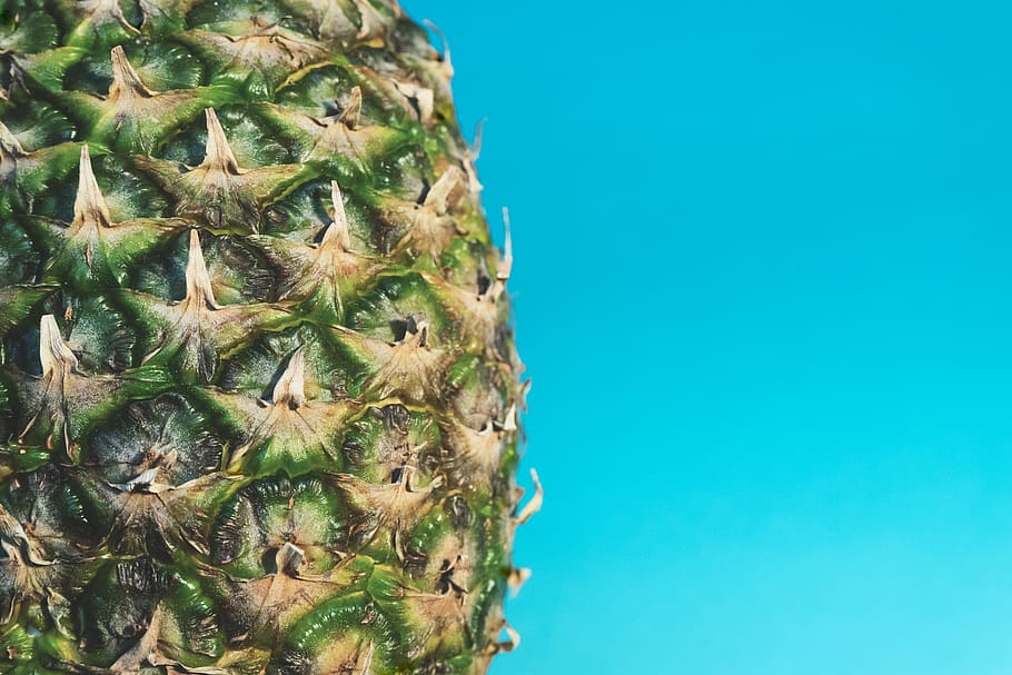 pineapple, fruit, blue, nature, no people, day, plant, healthy eating HD wallpaper