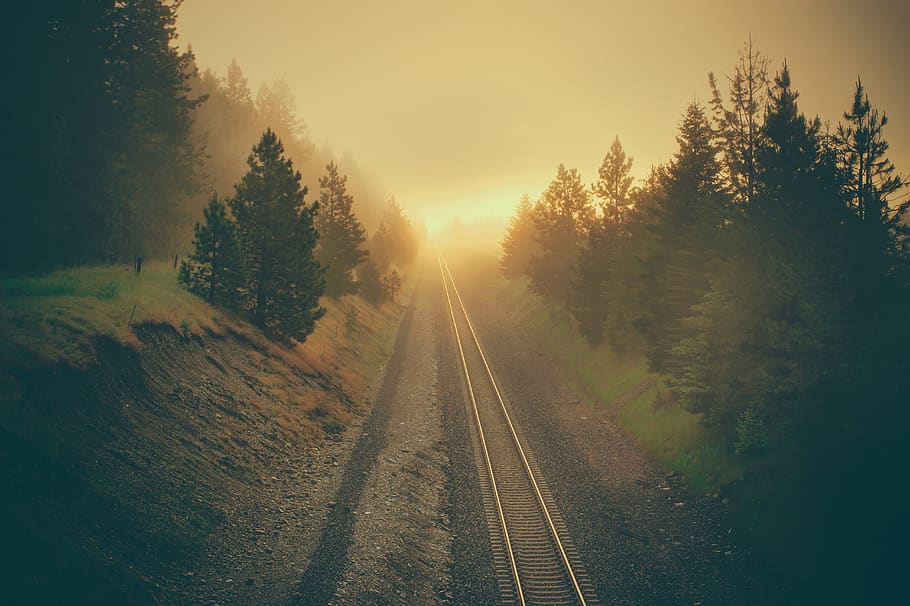 traintracks, fog, sunrise, distance, country, trees, morning