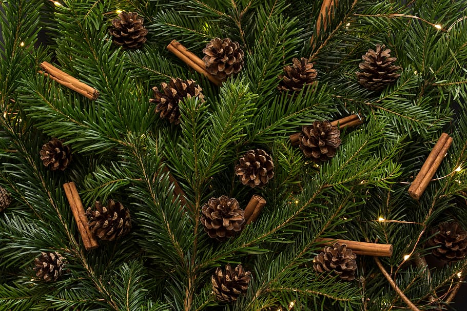 christmas, tree, pine, cone, holiday, season, decor, ornament HD wallpaper