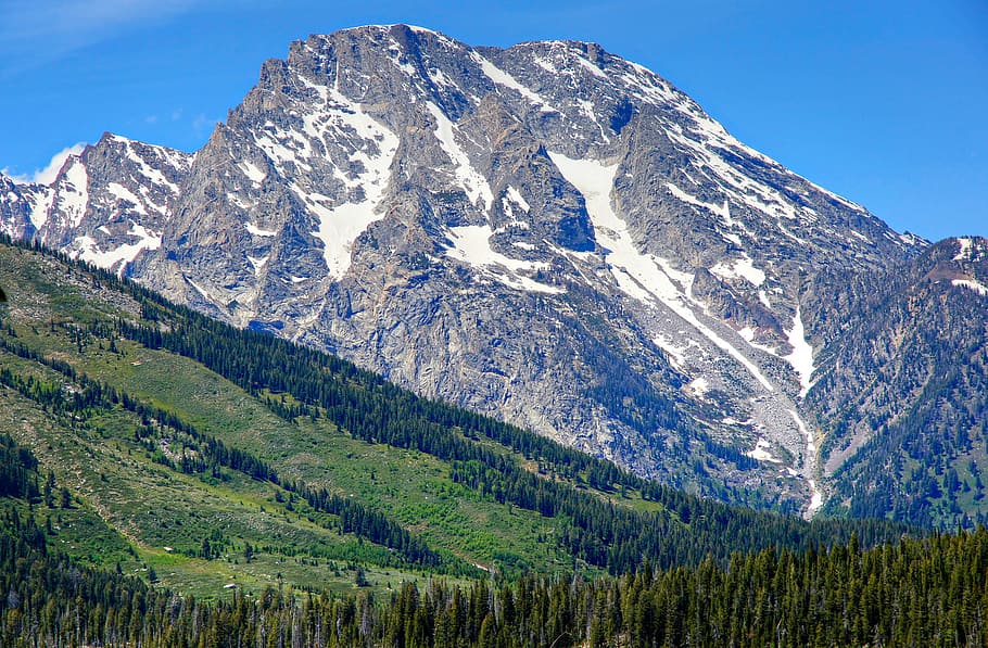 A green forested slope serves as foreground to a glacier covered mountain peak at Grand Teton National Park.