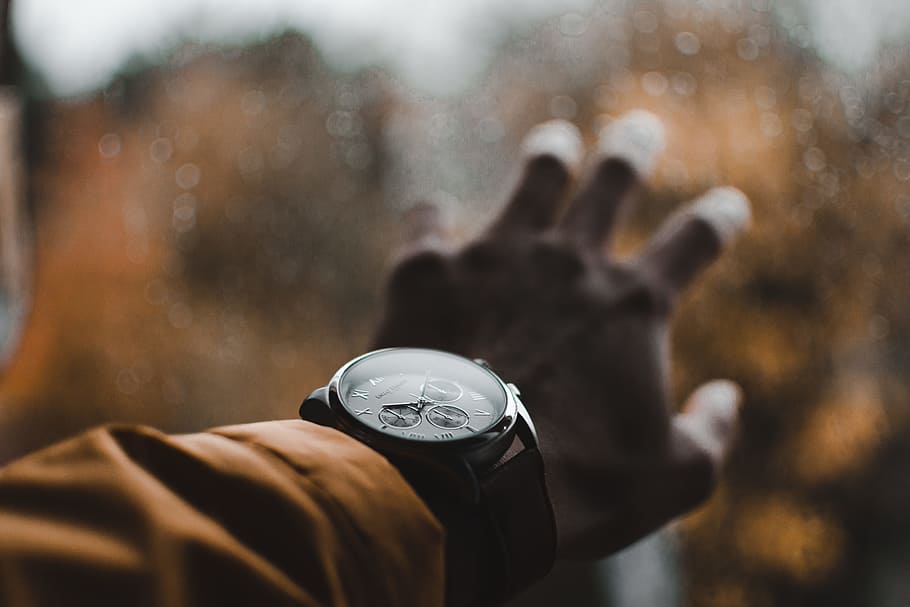person wearing chronograph watch, window, leafe, tree, moody HD wallpaper