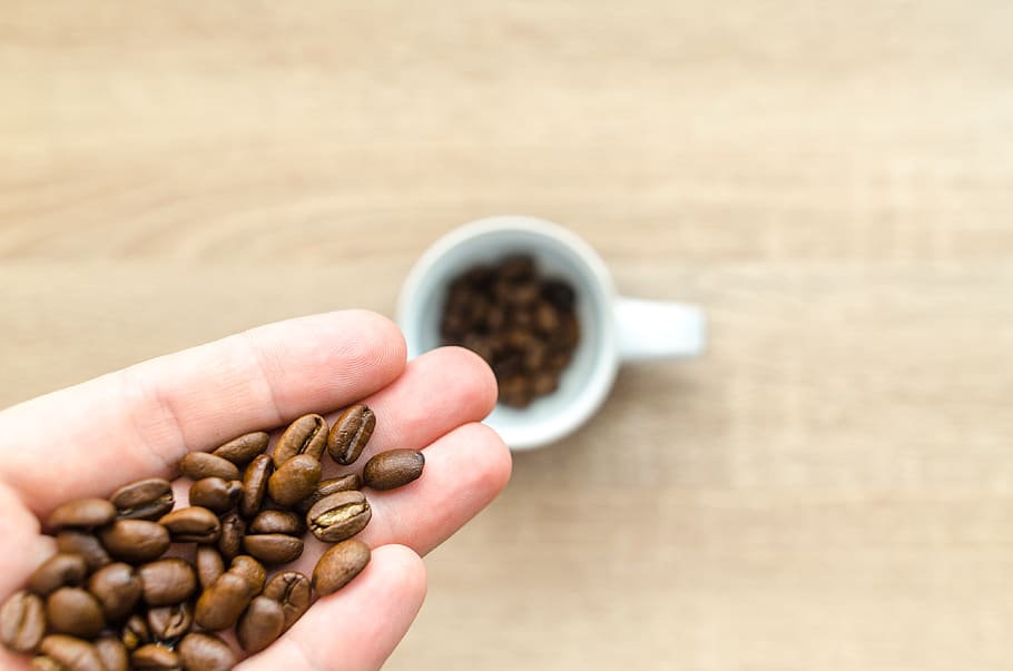 Coffee Beans on Left Hand, aroma, aromatic, blurred background HD wallpaper