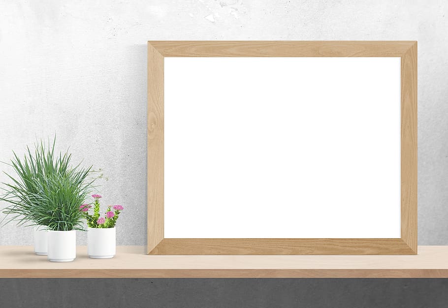 poster, frame, plants, desk, copy space, flower, flowering plant HD wallpaper