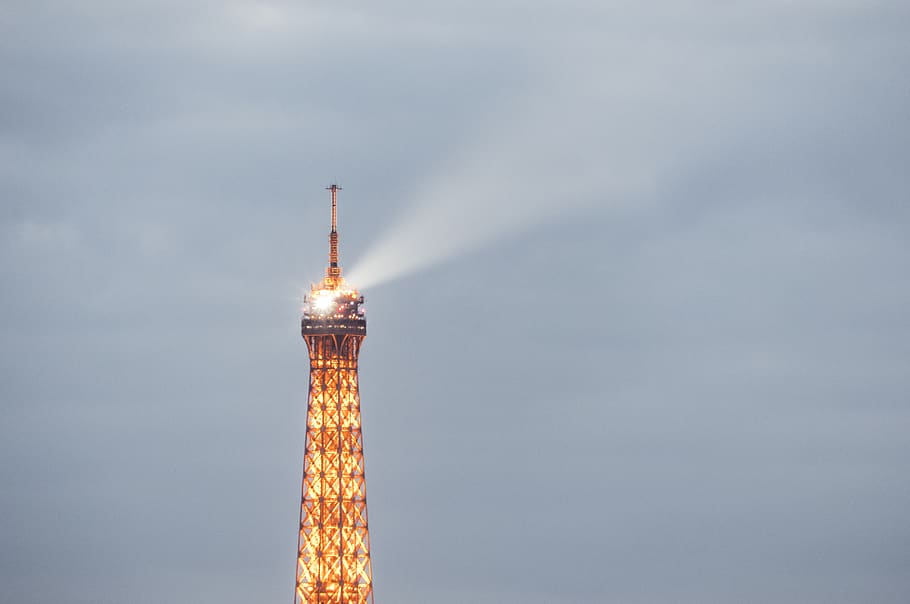tower, architecture, building, spire, steeple, animal, bird HD wallpaper