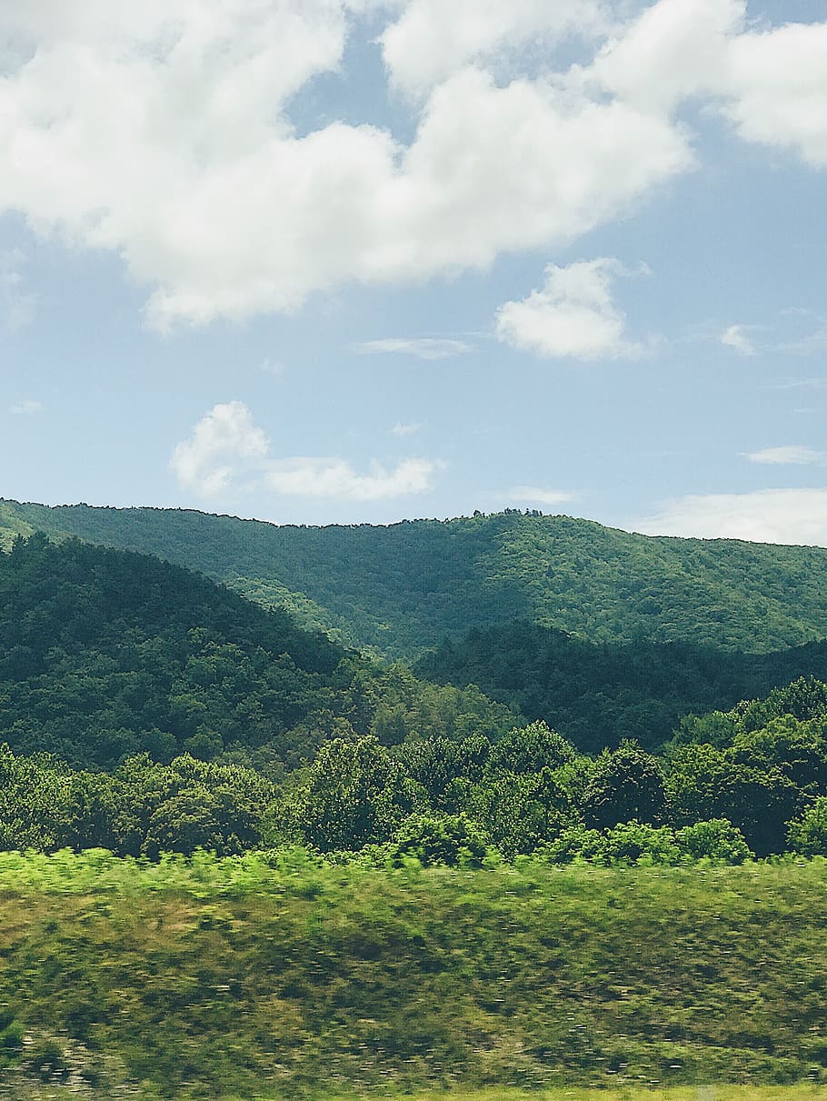 Hill ranges. Лес горы холмы.